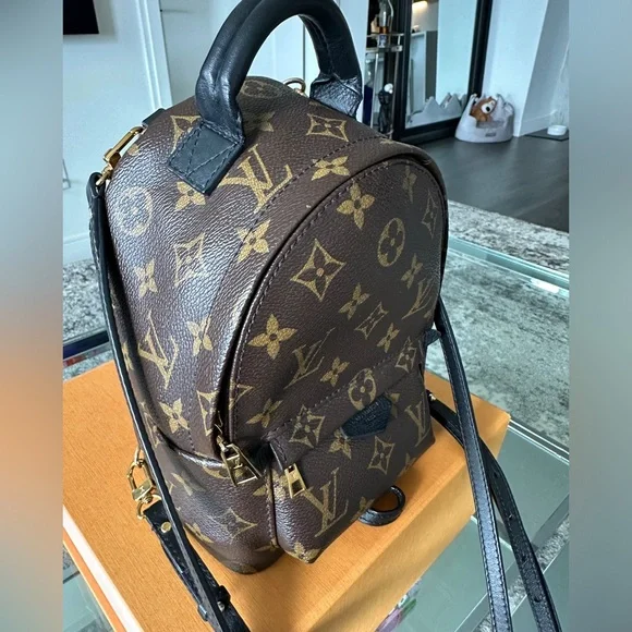 LV Palm Springs Mini - Picture 3 of 7